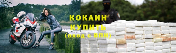 гидропоника Анжеро-Судженск