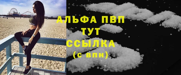 индика Анива
